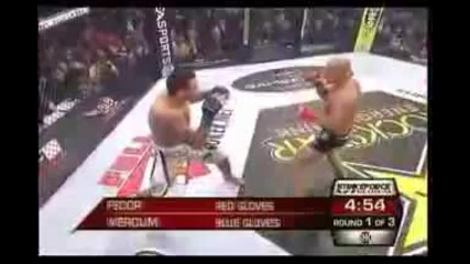 Fedor Emelianenko Vs Fabricio Werdum