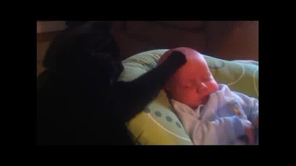 Виж как котка успокоява плачещо бебе