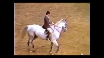 *рекорд* най - висок скок направен от кон (1983) 