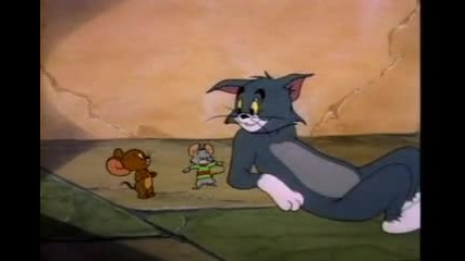 Tom & Jerry 08