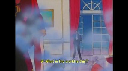 Sailor Moon S - episode 19