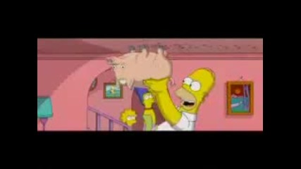 Spider pig 