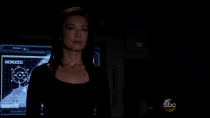 Marvel's Agents of S.h.i.e.l.d. 25 ( s 2 e 3 )