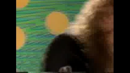Yngwie Malmsteen - Making Love