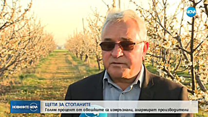 Овощари искат промяна в правилата за застраховане от слани