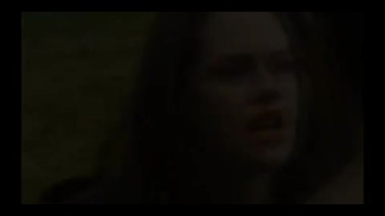 New Moon - Shattered