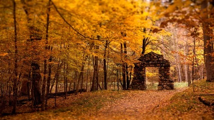 Ocarina - November Is Gone
