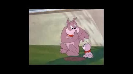 Neww Tom i Djerryy Neww parodia