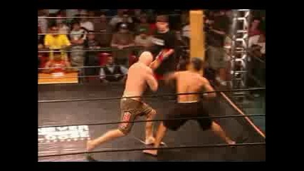 Daniel Xuxa Vs Rodrigo Pitbull