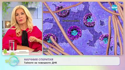 Научни открития - Тайните на човешкото ДНК - „На кафе” (15.07.2022)
