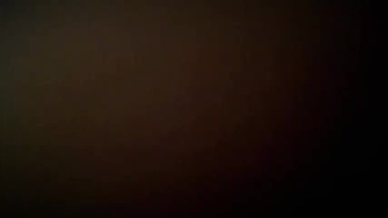 Адското котенце се боричка с дребна панда