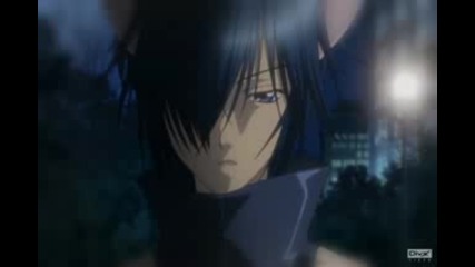Shugo Chara - Now Your Gone