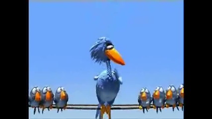Birds - Smqh