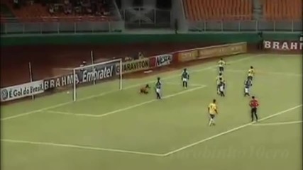 Robinho 2010 - Ready for World Cup - 1