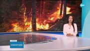 Новините на NOVA (14.07.2025 - обедна емисия)