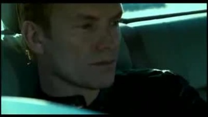 Sting - Desert Rose 