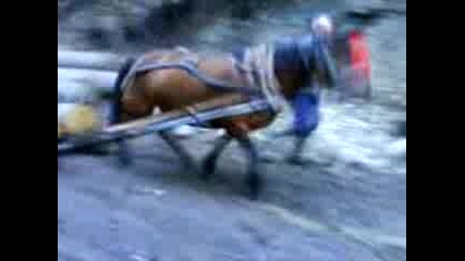 kone