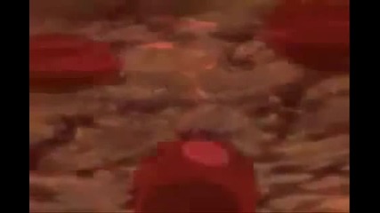 Naruto Shippuden Amv