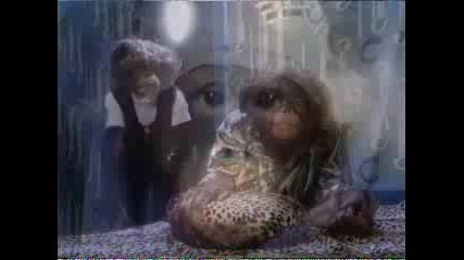 Monkey - Ed Movie Austin Powers