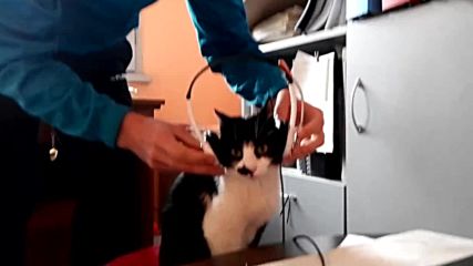 Vid_20180103_104902