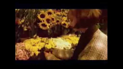 Dj Bobo - Love Is All Around