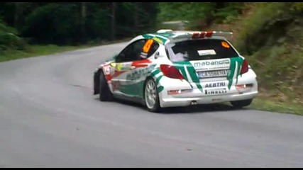 Rally Bulgaria 2010 Wrc