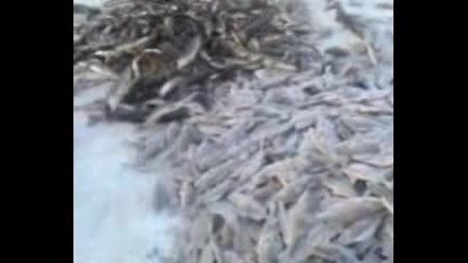 Как руснаците ловят риба
