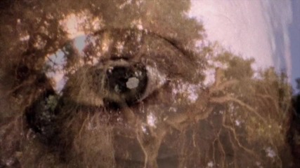 Jason Mraz - I Won't Give Up [official Music Video]