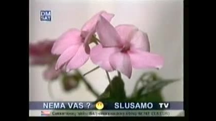 Tozovac - Uzmi sve sto ti zivot pruza
