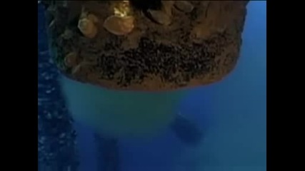 National Geographic - Mediterranean Sea
