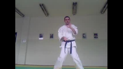 Bersek karate training - kihon 