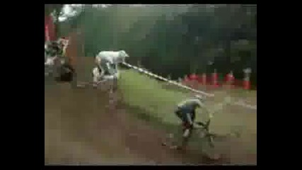 Guy Falls Off His Bike But It Keeps On Racing