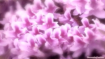 Yiruma and Oasis - Flowers We Are