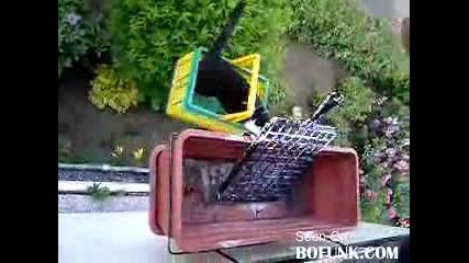 Котешки асансьор