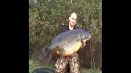 mega carp 