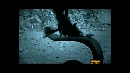 Емилия - Ти си луд 