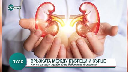 Как да запазим здравето на бъбреците и сърцето