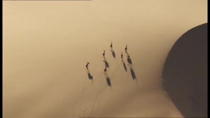 Лъвовете в пясъчните дюни 