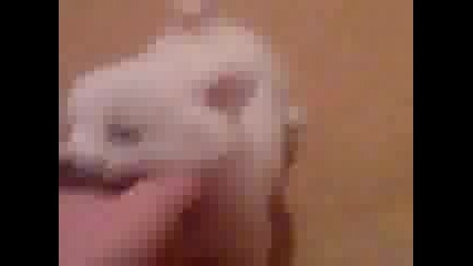Ку4е Убиец.3gp