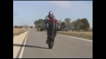 Honda Cbr 954 Rr Stunts