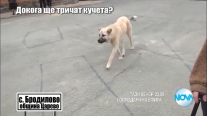 В "Господари на ефира" на 2 март очаквайте