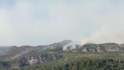 Пожар в Херцег Нови, Черна гора