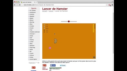 Jeu de Lancer de Hamster