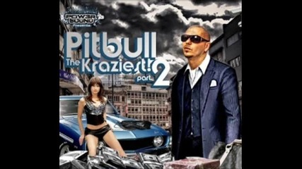 pitbul 