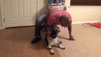 So_sweet_dog_welcomes_dad_home_a