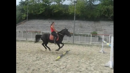 dafito i maq