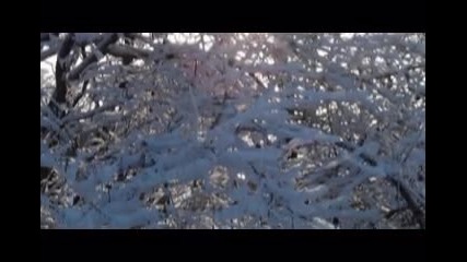White_white_by_sd