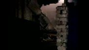 Пожар в приют отне 22 живота в Полша