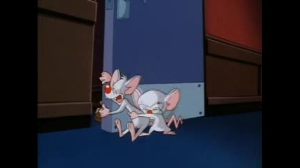 Pinky and the Brain,ep. 9