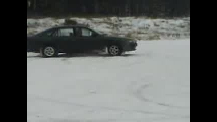 Pernik Motanie 3gp
